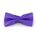 Nœud Papillon violet à pois brillants